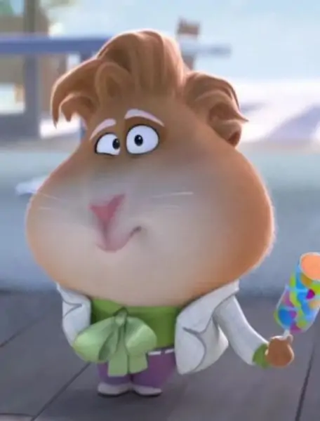 pig